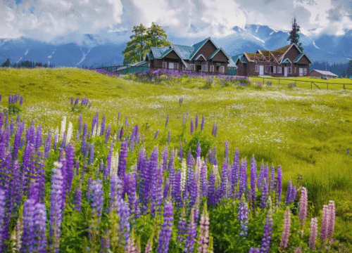 Culture & Cuisine of Kashmir: A Taste of Tradition