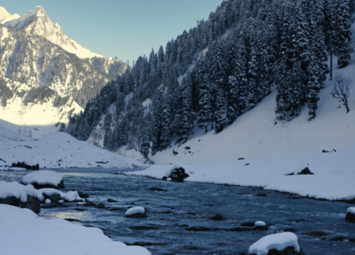 Kashmir Honeymoon Tour