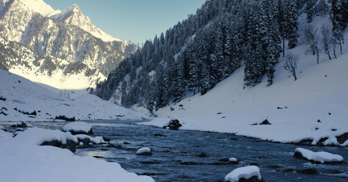 Kashmir Honeymoon Tour