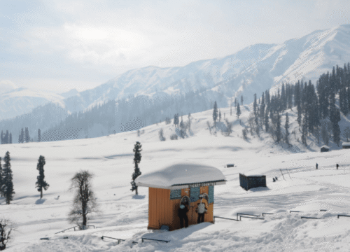Kashmir Gulmarg Tour