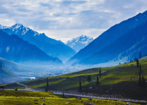 Kashmir Family Tour