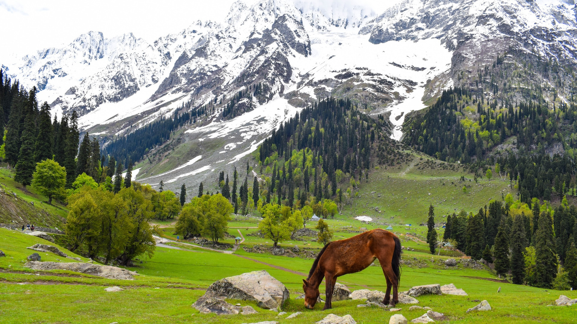 Sonamarg